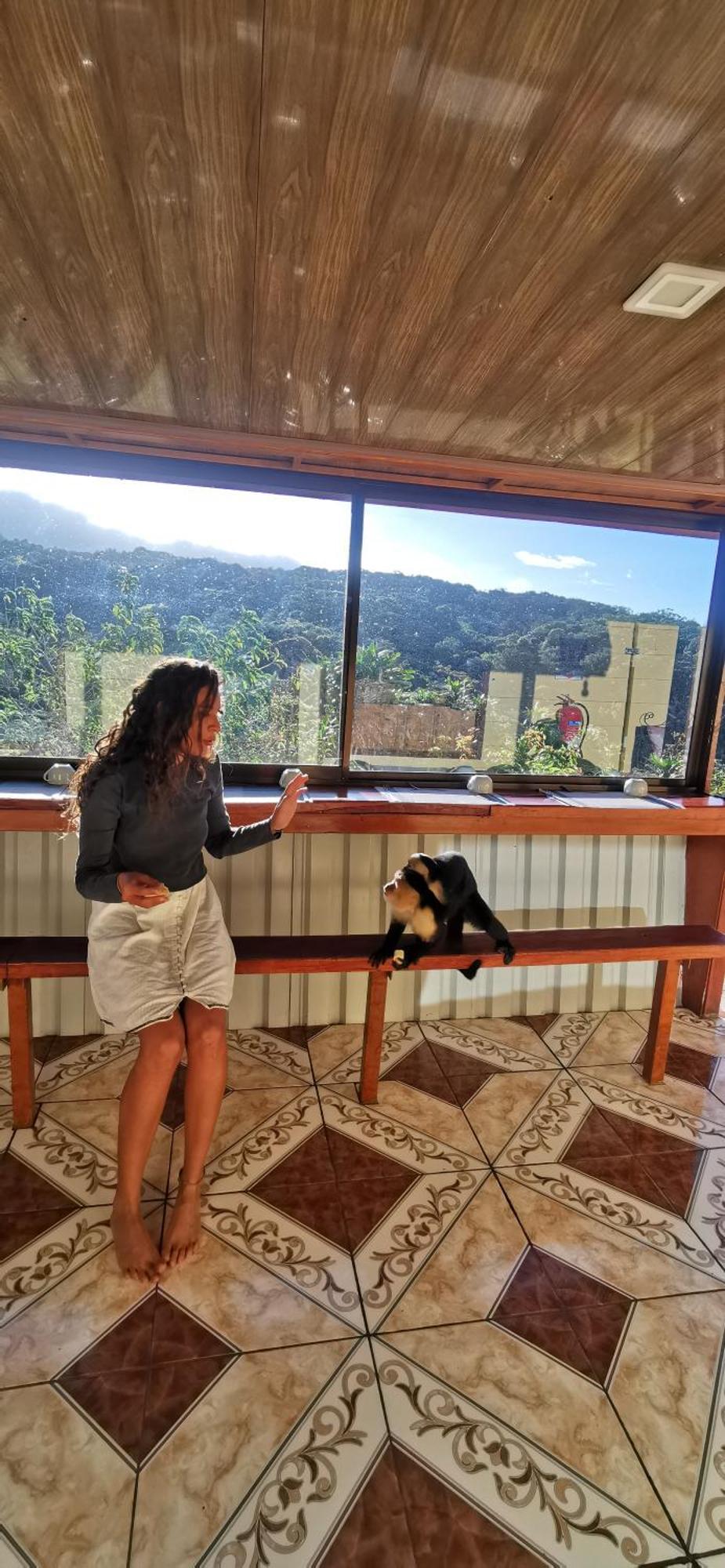Mora'S Place B&B モンテベルデ エクステリア 写真
