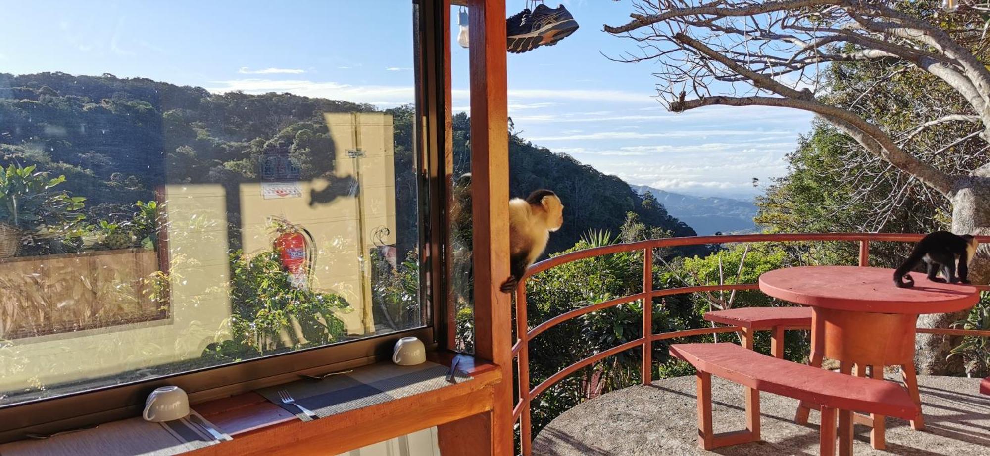 Mora'S Place B&B モンテベルデ エクステリア 写真